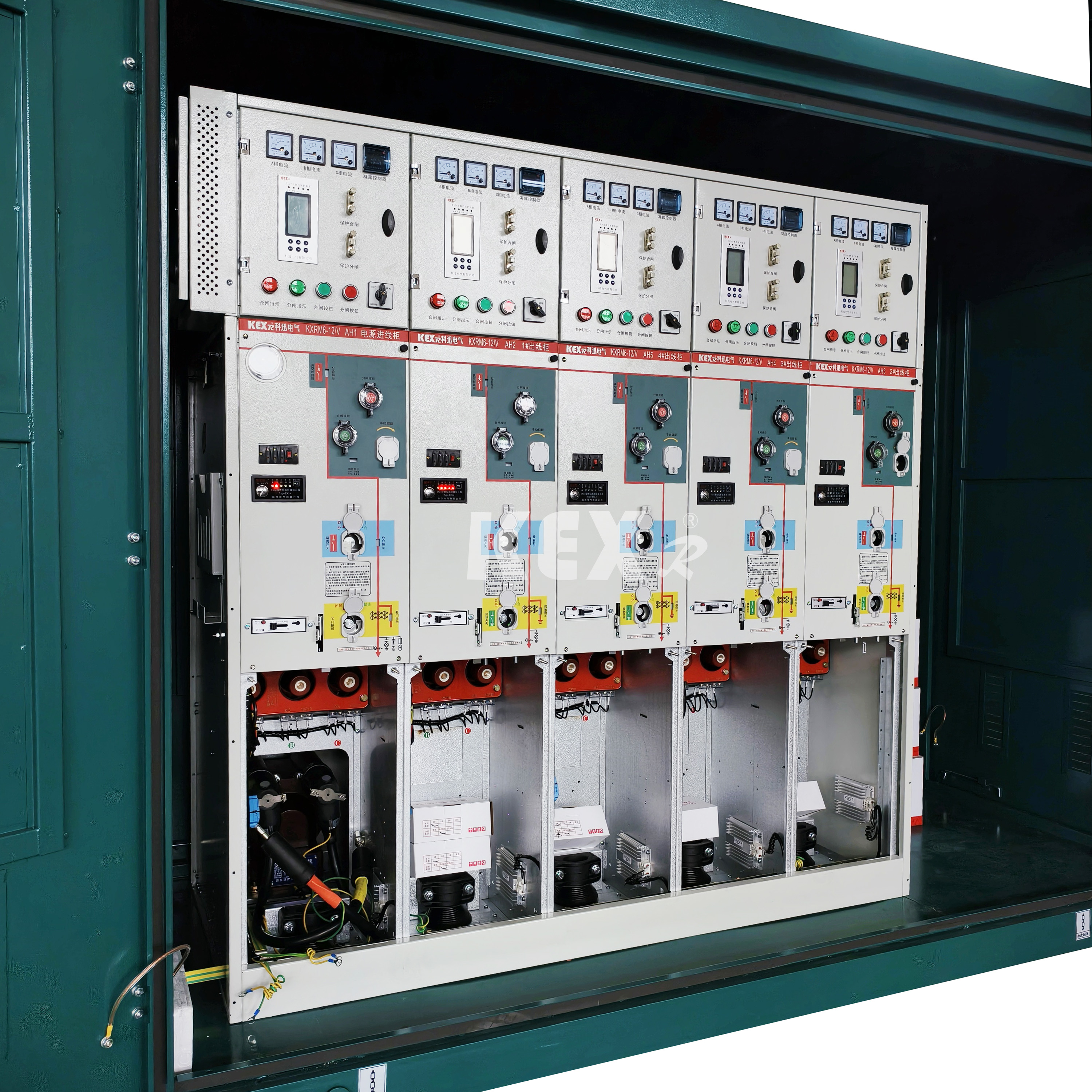 Rõngaste võrgukappide tüübid